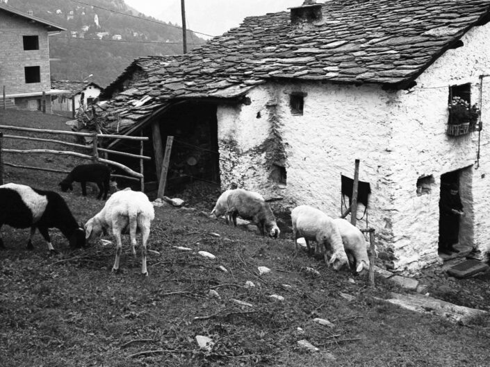 Fondo Carlo Tancredi Olmo Valle del Drogo SO 1981 10 scaled