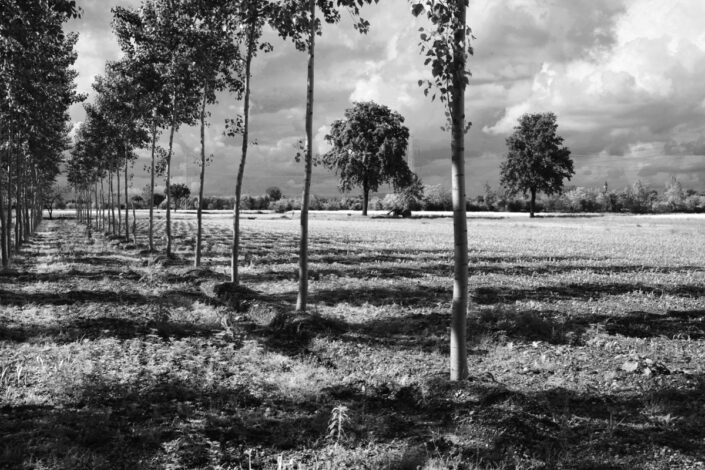 Fondo AFI - Alto Milanese - Bernate Ticino - Paesaggio agricolo - 2010 - Foto Claudio Argentiero