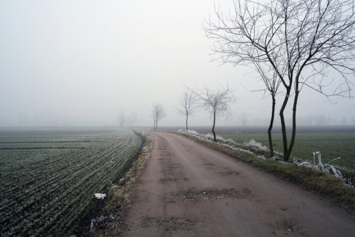 Fondo AFI - Alto Milanese - Robecchetto con Induno - 2009 - Foto Claudio Argentiero