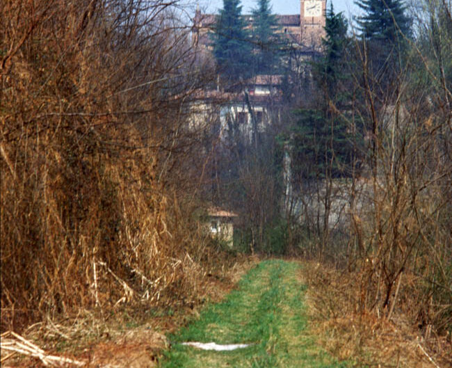 Fondo Emilio Tovaglieri - Castiglione Olona- Anni Novanta - 1994